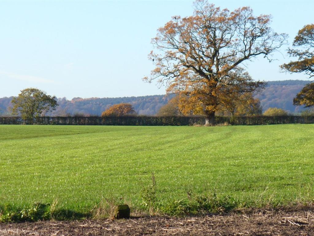 New Hall Farm Ellesmere Port Kültér fotó